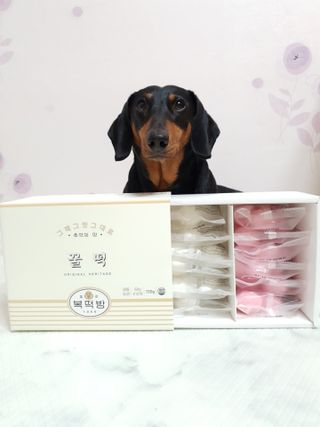 히이잇님이 올린 리뷰 사진 2