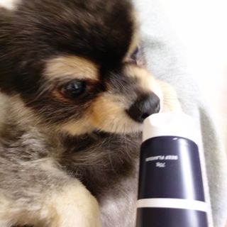 복도리님이 올린 리뷰 사진 4