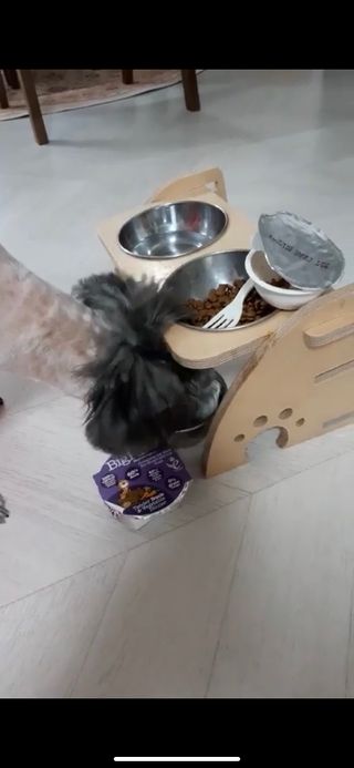클로버님이 올린 리뷰 사진 1