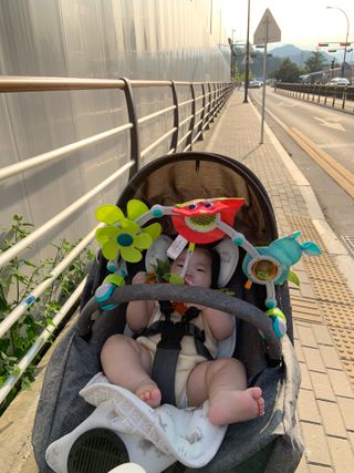 베베누보 윈디 통풍 쿨시트 유모차 카시트 2in1 라이너 — 4점을 준 리뷰어가 2021년 7월 올린 사용 사진