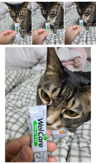 고은지님이 올린 리뷰 사진 3