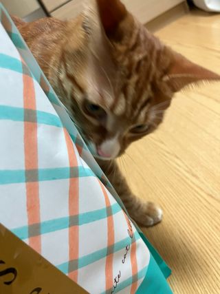 오잉님이 올린 리뷰 사진 1