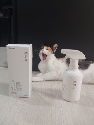 홍제이님이 올린 리뷰 사진 2