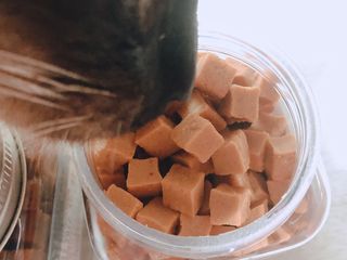 페페로니 진짜 오메가3 연어+소고기 180g+180g — 5점을 준 리뷰어가 2021년 7월 올린 사용 사진
