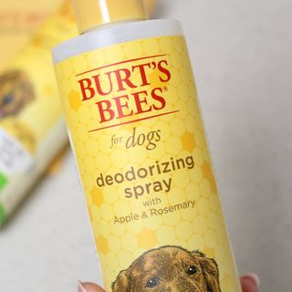 banew님이 올린 리뷰 사진 3