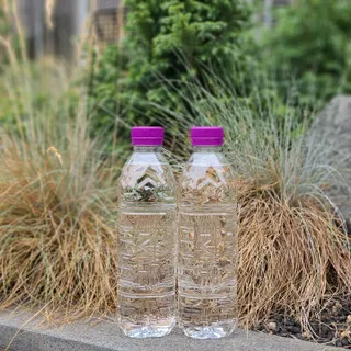 몽베스트 [MONTBEST]위드어스 500mL 20병 — 5점을 준 리뷰어가 2022년 6월 올린 사용 사진