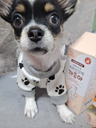 My Pet Care 모발과 모질 피부건강에 개좋아 — 5점을 준 리뷰어가 2021년 3월 올린 사용 사진