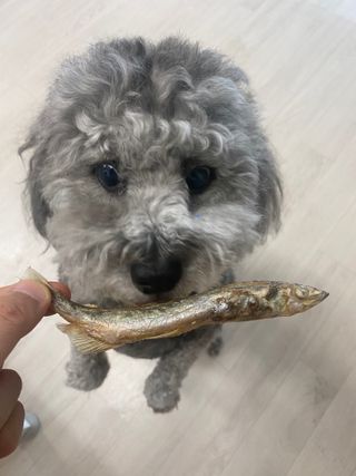 갱스님이 올린 리뷰 사진 4