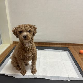 유르딩님이 올린 리뷰 사진 3