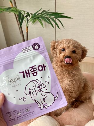 My Pet Care 천연단백질 치아건강에 개좋아 — 5점을 준 리뷰어가 2021년 2월 올린 사용 사진