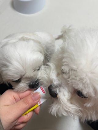 린짱님이 올린 리뷰 사진 4