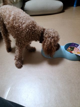 쩡이님이 올린 리뷰 사진 3