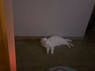 ㄹ진님이 올린 리뷰 사진 3