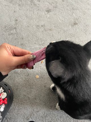 순이츠님이 올린 리뷰 사진 4