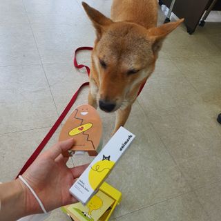 루비님이 올린 리뷰 사진 2