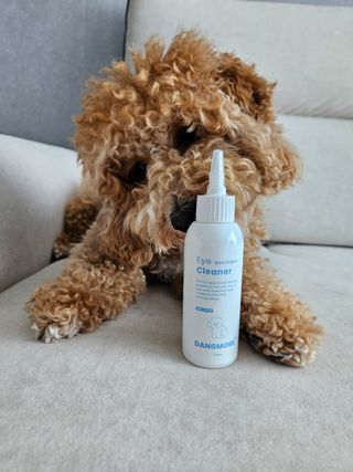 [댕모어 클리너 3종] 아이클리너 / 이어클리너 / 덴탈클리너 3종 세트 (120ml) — 5점을 준 리뷰어가 2023년 10월 올린 사용 사진