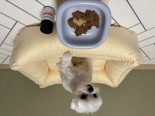 이수정님이 올린 리뷰 사진 2