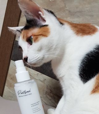 두냥이님이 올린 리뷰 사진 2