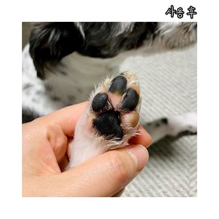 슈니슈니님이 올린 리뷰 사진 3