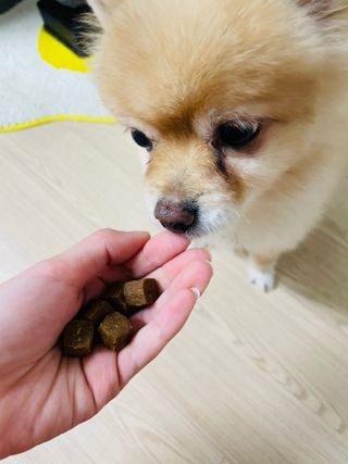 쿠키쿠님이 올린 리뷰 사진 1