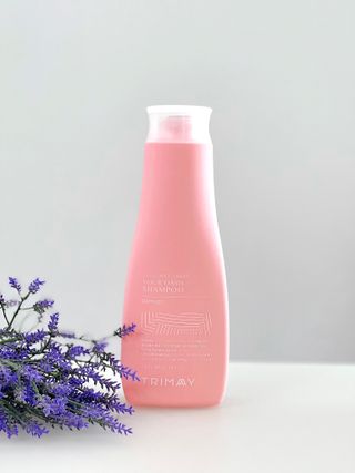 데일리노트님이 올린 리뷰 사진 3