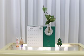 sunny님이 올린 리뷰 사진 2