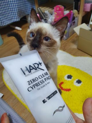 헤어플러스 제로클리어 샴푸 500ml, 두피팩 210ml 2종SET — 5점을 준 리뷰어가 2021년 3월 올린 사용 사진