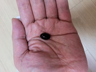 슬림플래닛 잔티젠 600mg 굿밤 다이어트 — 4점을 준 리뷰어가 2021년 3월 올린 사용 사진