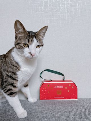 주희렐라님이 올린 리뷰 사진 4