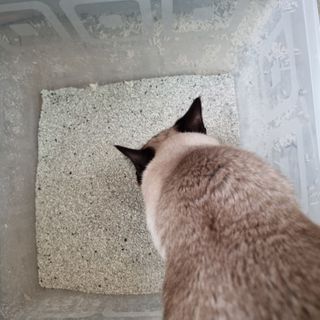 하울님이 올린 리뷰 사진 3