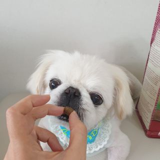 mini unni님이 올린 리뷰 사진 4