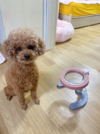 파이님이 올린 리뷰 사진 3