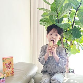 설설님이 올린 리뷰 사진 3
