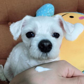 김나연님이 올린 리뷰 사진 4