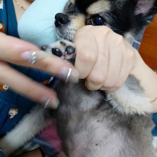 버츠비 케어플러스 릴리빙포앤노즈로션 — 4점을 준 리뷰어가 2021년 4월 올린 사용 사진
