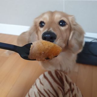 승희님이 올린 리뷰 사진 3