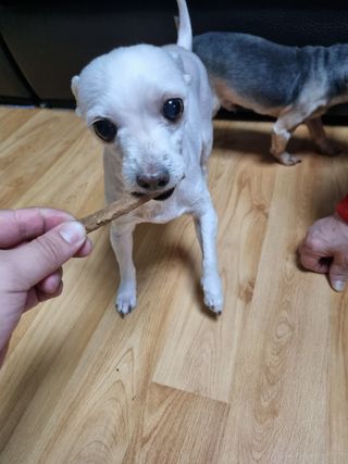 도도한그녀님이 올린 리뷰 사진 1