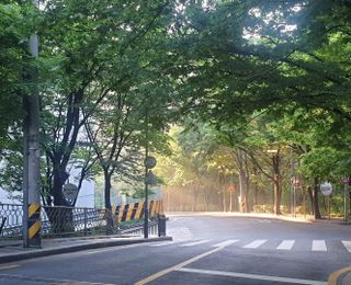 0.8L 마케팅팀 - — 5점을 준 리뷰어가 2021년 5월 올린 사용 사진