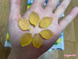 순바라기님이 올린 리뷰 사진 4