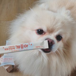 My Pet Care 모발과 모질 피부건강에 개좋아 — 3점을 준 리뷰어가 2021년 1월 올린 사용 사진