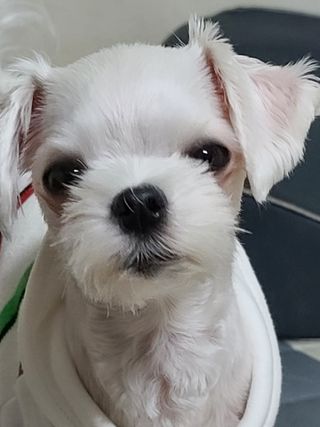 옐로우님이 올린 리뷰 사진 4