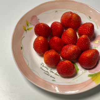 옳음 딸기 논산 설향 딸기 900g 산지직송 — 5점을 준 리뷰어가 2021년 1월 올린 사용 사진