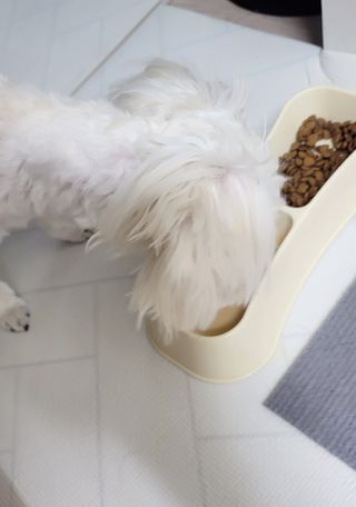 땅콩빠다님이 올린 리뷰 사진 4