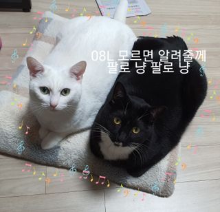 쩡이님이 올린 리뷰 사진 3