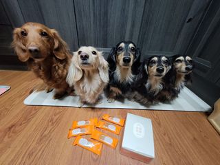 5_daks님이 올린 리뷰 사진 1
