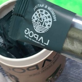 [푸디웜] 라포그 코어덴탈츄 그린 (10개입) — 5점을 준 리뷰어가 2023년 1월 올린 사용 사진