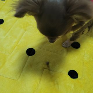나초단맘님이 올린 리뷰 사진 2