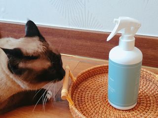쇼군오마니님이 올린 리뷰 사진 1