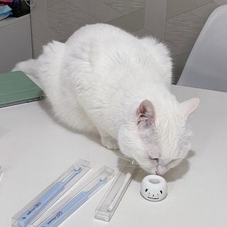 ㄹ진님이 올린 리뷰 사진 3
