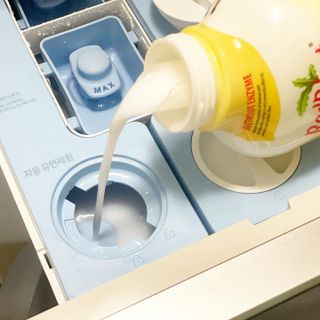 꿀냥이님이 올린 리뷰 사진 4